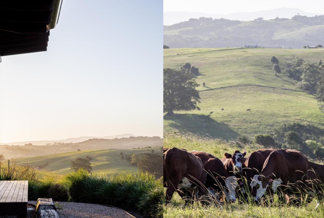 Willa Carinya Byron Bay Hayters Hill Zewnętrze zdjęcie
